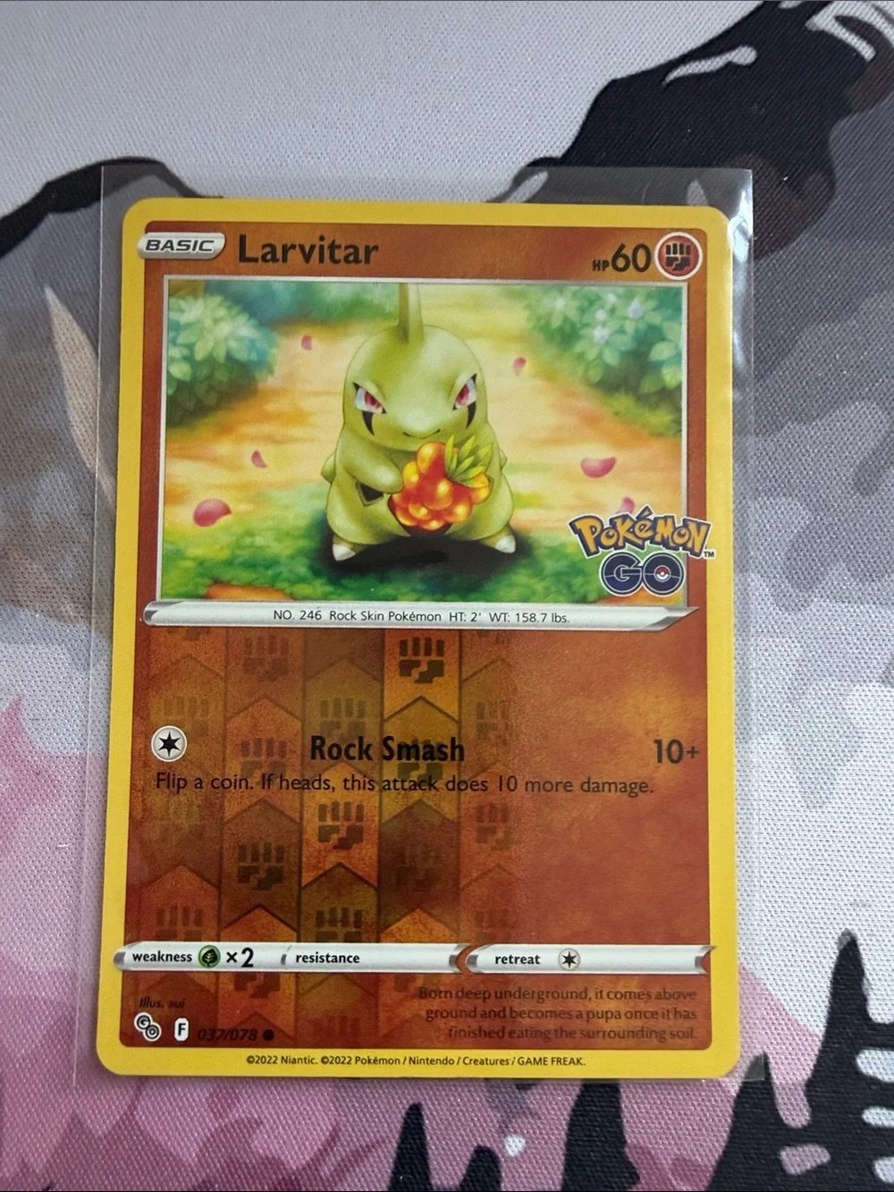 Larvitar Pupitar & Tyranitar Pokémon Evolution Holo Card Lot 🦖| 6 Cards ✨5/$25✨